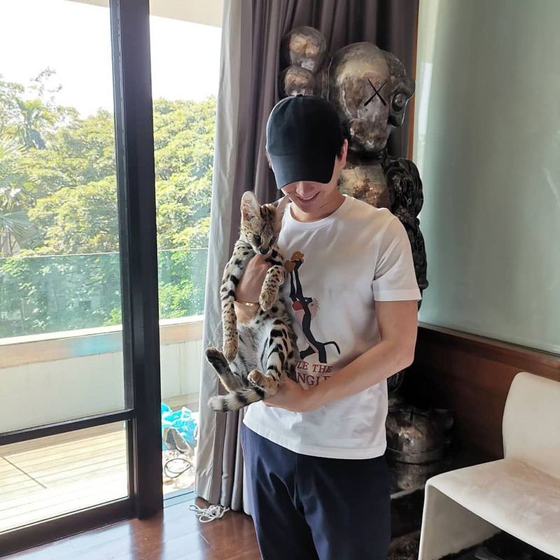 ไฮโซจิมมี่